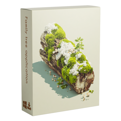 Christmas Box Set - Windows